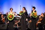 Philharmonie am Forum, Night of Stars Symphonic 2018, Big Band Surprise, Peter Stöhr, Rolf Schilli